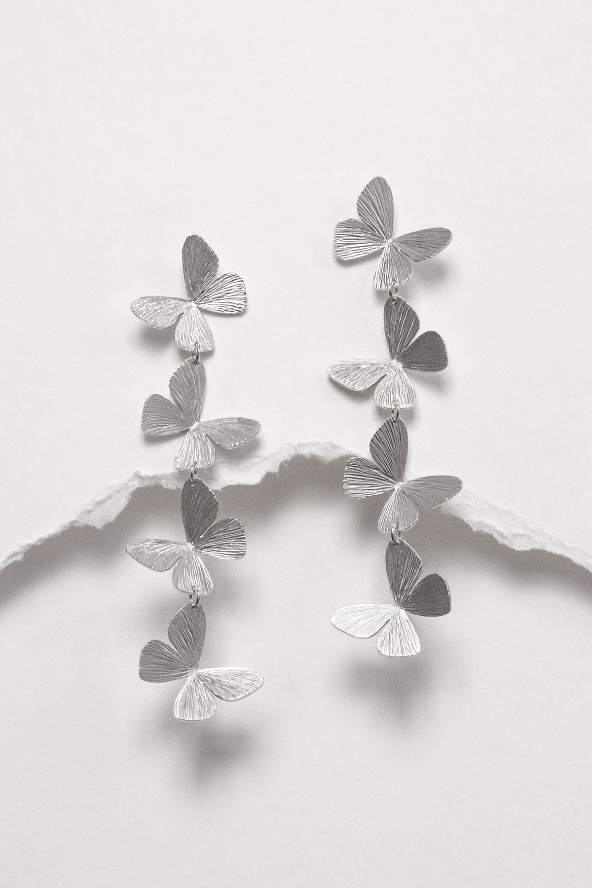 BIG BUTTERFLY