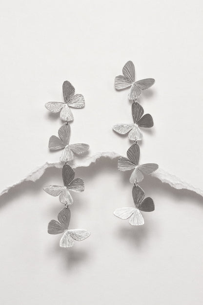 BIG BUTTERFLY