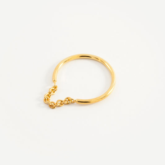CHAIN RING